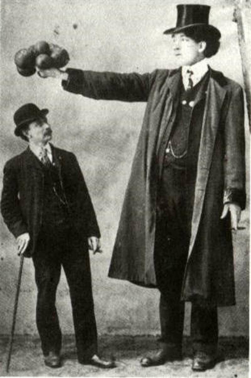 Edward Bohr, 251 cm tall, giants, intersenoe, historical facts, men, height