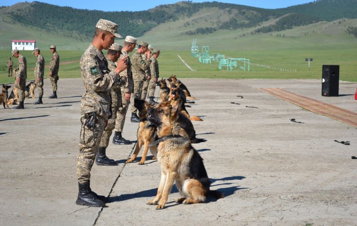 Албаны нохой сургалтын төгсөлт боллоо