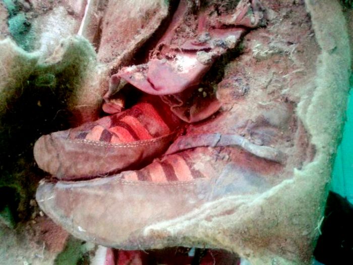 “Adidas”-ын гутал өмссөн занданшуулсан шарил Монголд олджээ