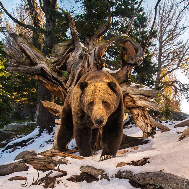 "National Geographic"-ийн гайхалтай гэрэл зургуудаас