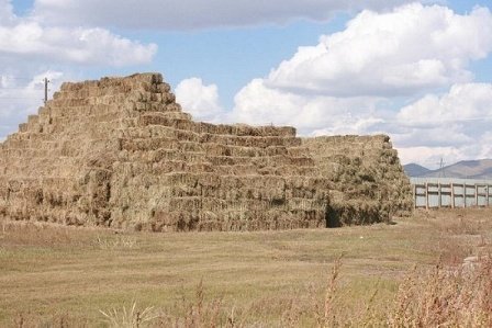 Хятад Улс Монголоос өвс бэлтгэж экосистемээ хамгаална