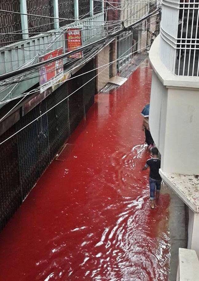 Бангладешийн гудамж цусан үерт автаад байна