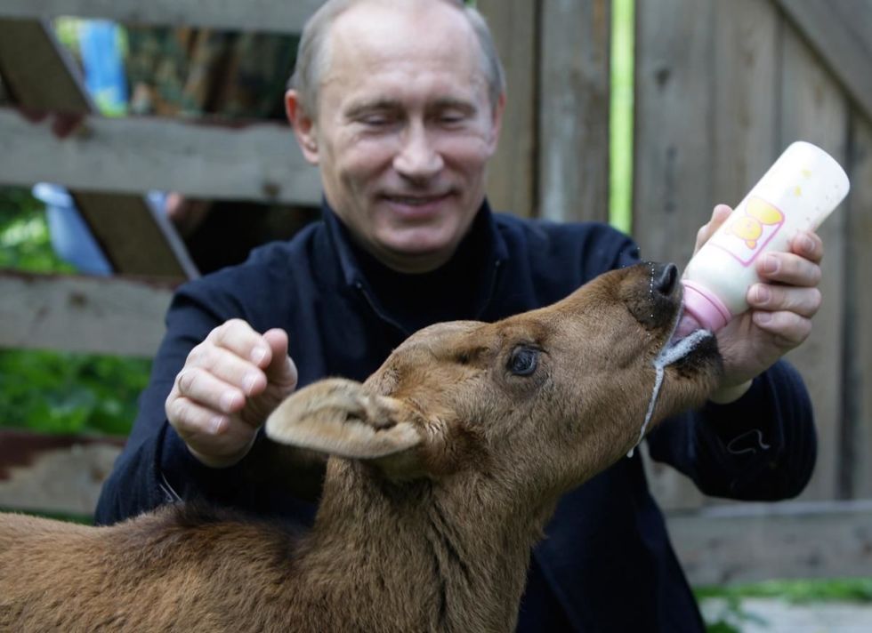 Фото: В.Путин “Мангас” биш хүн гэдгийг батлах Вовагийн амьдрал буюу 20 агшин