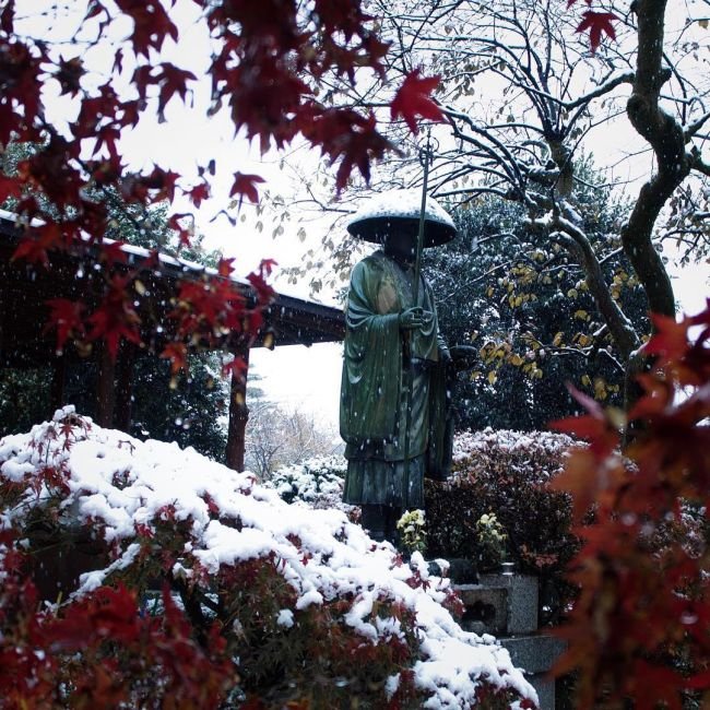Токиод 54 жилд нэг л удаа цас оржээ 
