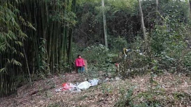 Нэг настай охиноо оршуулгын газар модноос хүлж орхижээ