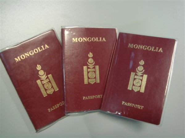 Энгийн гадаад паспортыг тав болон 10 жилээр олгоно, сунгахгүй