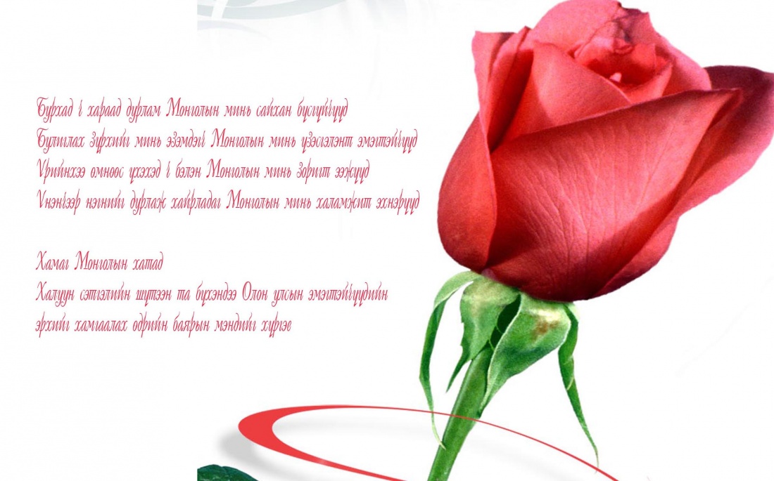 Олон улсын Эмэгтэйчүүдийн баярын мэнд хүргэе!