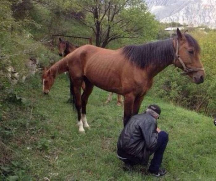 Андуурч хармаар зургууд