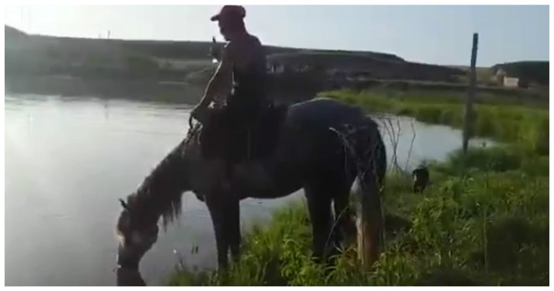 Согтуу казахстан залуу морьтойгоо живж буй бичлэг