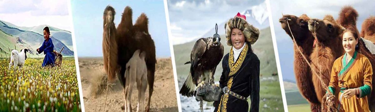 Монголын нэрийг хугалах амьтад мундахгүй юм даа