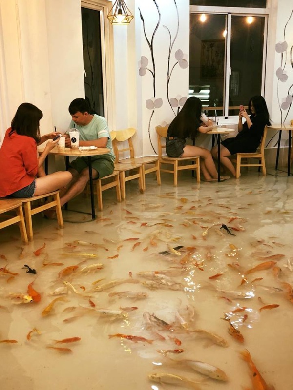 Загасны массажтай зоогийн газар