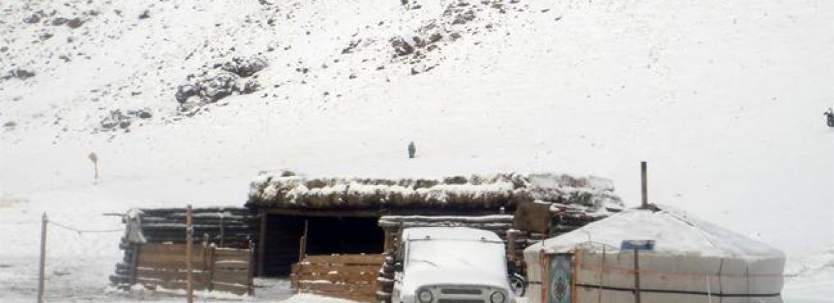 Алга болсон туслах малчныг эсэн мэнд олсон ч морио унаад зугтжээ