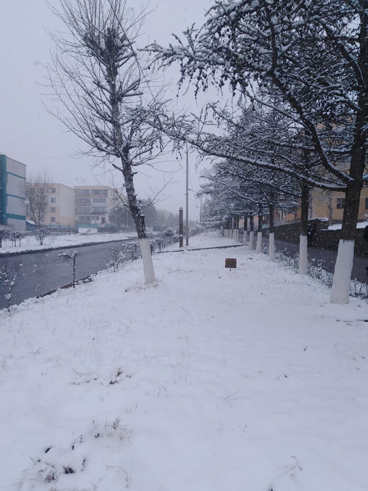 Зарим аймгуудад цас үргэлжлэн орж байна