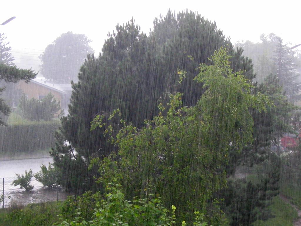 Сэрэмжлүүлэгч: Ойрын өдрүүдэд үргэлжилсэн бороотой тул үер, усны аюулаас болгоомжилно уу