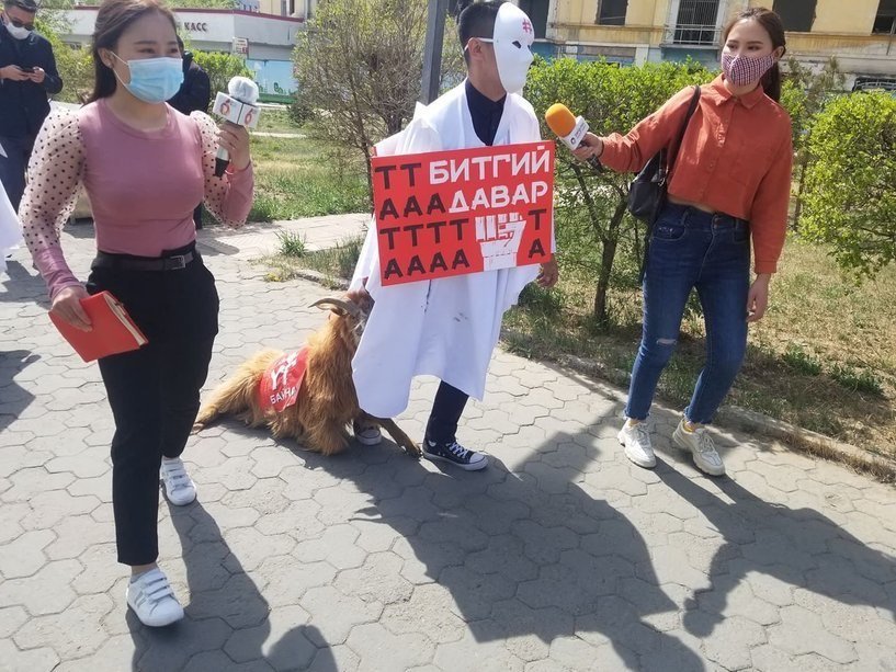Ямаа ба улстөрчид