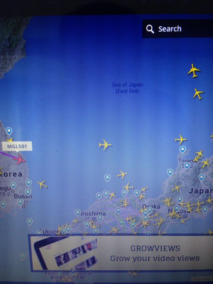 Япон улсаас  тусгай үүргийн онгоцоор 263 хүн ирнэ