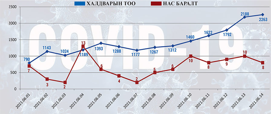 COVID-19: Хариуцлага нэхсэн бодит байдал