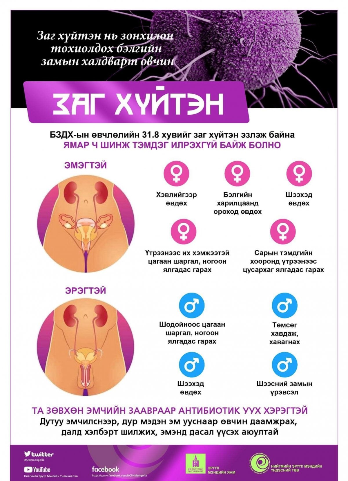 Бэлгийн замаар дамжих халдварт өвчлөлийн нийт тохиолдлын 79%-ийг 15-39 насны залуучууд эзэлж байна