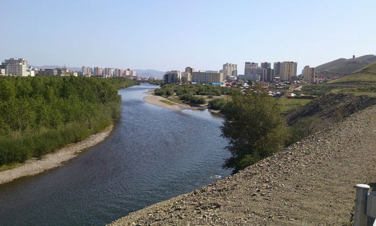 Нохой дайрсны улмаас 4 настай хүүхэд голд унаж энджээ
