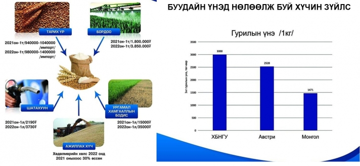 Засгийн газар гурилын үнийг барьж чадсангүй