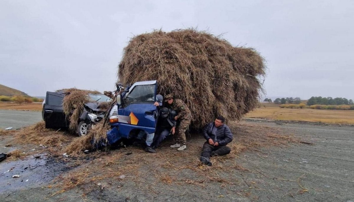 Хилчин эмч нар зам тээврийн осолд орсон иргэдийн амь насыг аварлаа