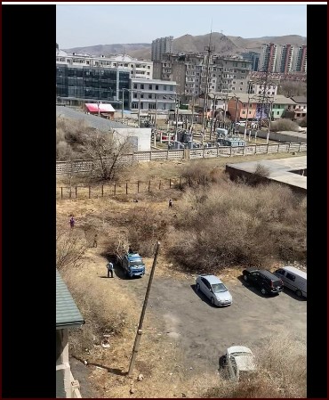 ИРГЭНИЙ ГОМДОЛ: 115-рсургуулийн өмнөх модуудыг тайраад дууслаа даа 