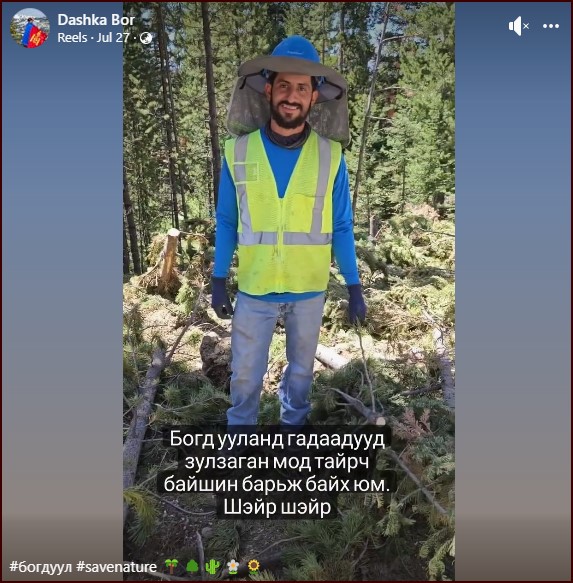 Богд ууланд мод тайрч байна гэх мэдээлэл ХУДАЛ