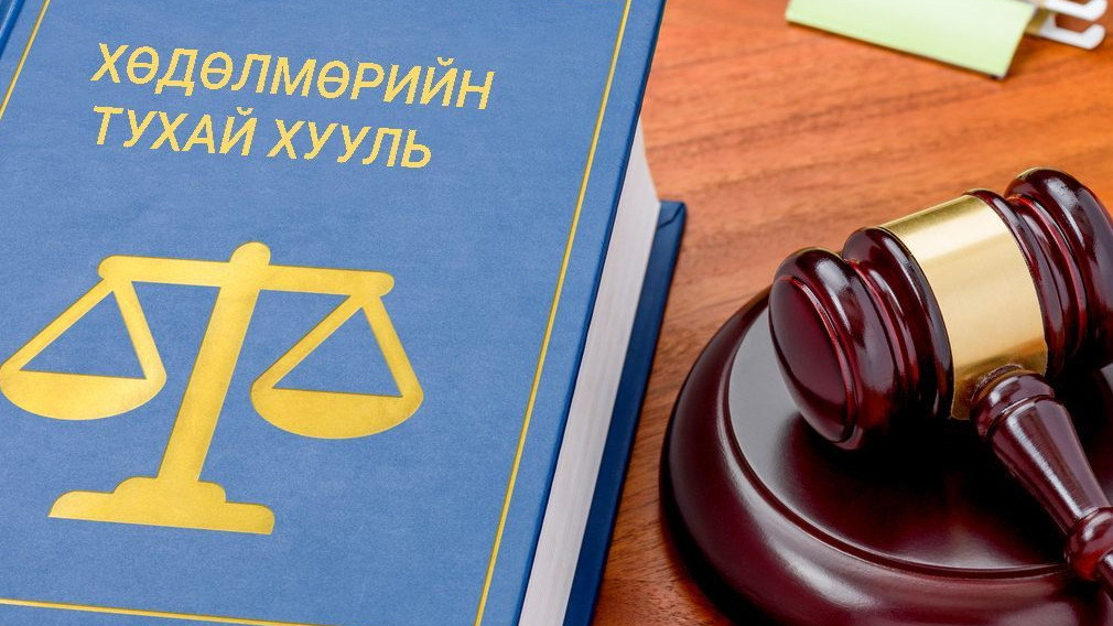 Хөдөлмөрийн хуулийн “14:14” хөдөлмөрлөх эрхэнд халдаж байна