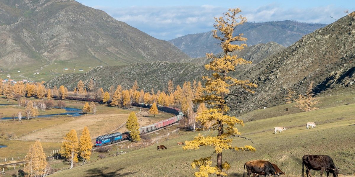 “УБТЗ” ХНН: Ургац тээвэрлэлтийг шуурхай зохион байгуулж байна