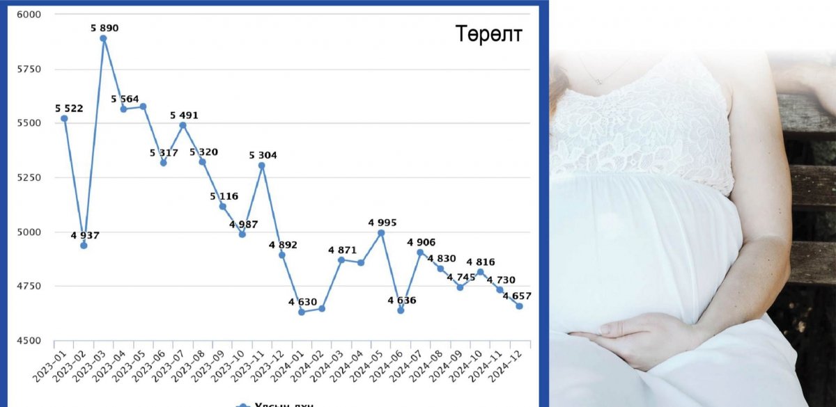 Нийгмийн хөгжлөөс шалтгаалж төрөлт буурсан уу