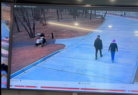 ИРГЭД: Нохойноос айдаг ч хүүхэд рүү дайрвал заавал очиж тусална