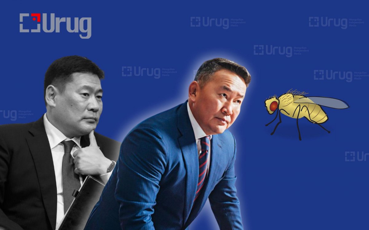 Х.Баттулга Төгрөг нуурын асуудлаас болж, Л.Оюун-Эрдэнийг “огцруулахгүй” зуурч байна уу