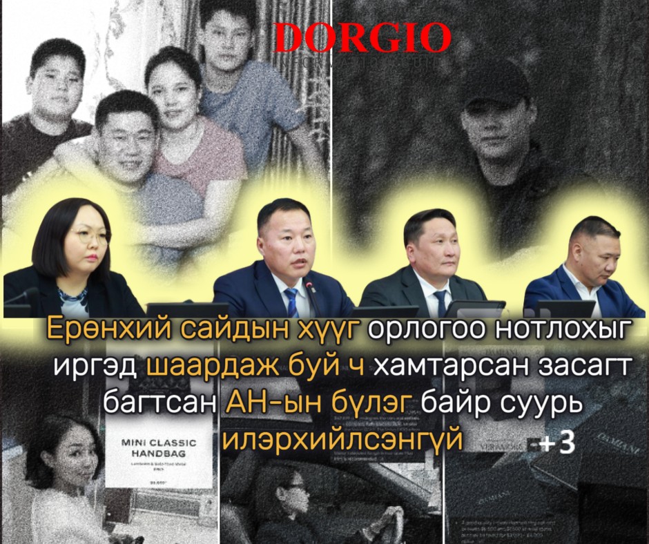 Ерөнхий сайдын хүүг орлогоо нотлохыг иргэд шаардаж буй ч хамтарсан засагт багтсан АН-ын бүлэг байр суурь илэрхийлсэнгүй