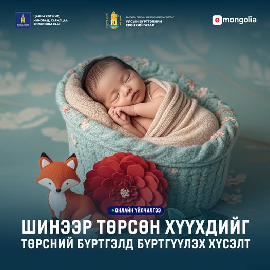 Шинээр төрсөн хүүхдийг төрсний бүртгэлд бүртгүүлэх хүсэлтээ E-Mongolia-аар илгээгээрэй