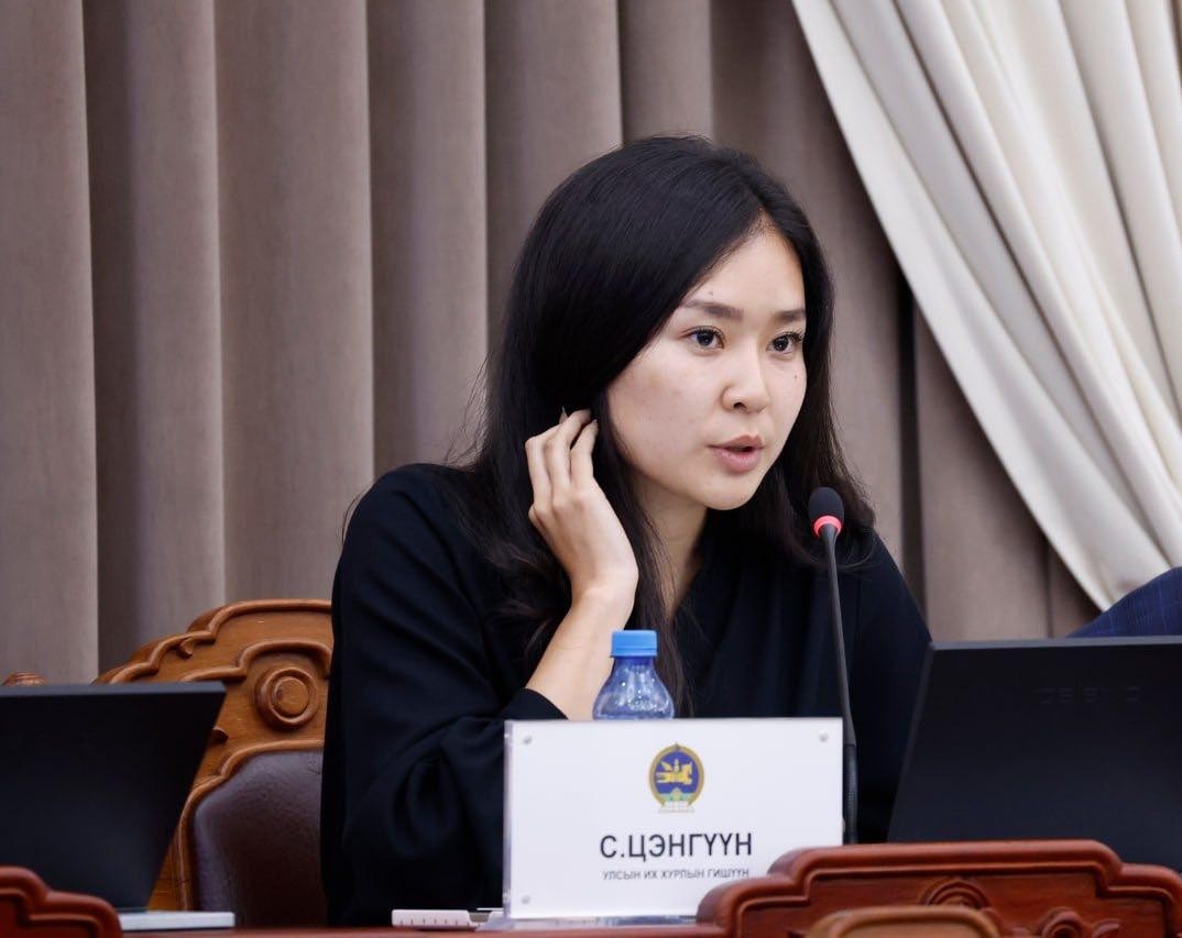 С.Цэнгүүн: Эрчим хүчний тухай хуульд өөрчлөлт оруулах төсөл нь сайдынхаа эрх мэдлийг нэмэгдүүлэх гэсэн хардлагыг төрүүлж байна