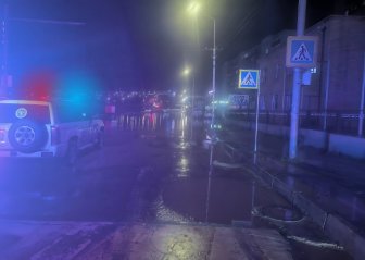 Тогтоол усанд унасан цахилгааны утаснаас тогонд цохиулж гэмтжээ