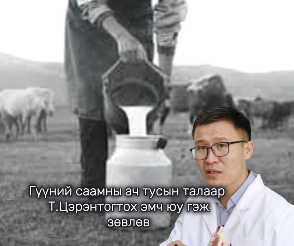 Гүүний саамны ач тусын талаар Т.Цэрэнтогтох эмч юу гэж зөвлөв