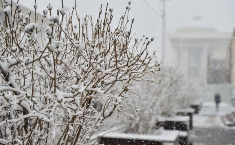 Сэрэмжлүүлэг: Өнөө шөнө Завхан, Хөвсгөл аймгийн нутгаар цасаар шуурна