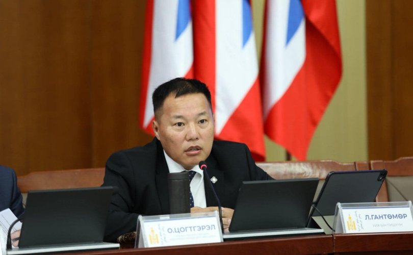 УИХ-ын дарга намын дарга байхыг хориглосон хуулийг санаачилжээ