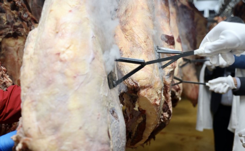 “Очирдагинас” ХХК-ийн экспортын үйлдвэрийн цогцолбор албан ёсоор ашиглалтад орлоо 