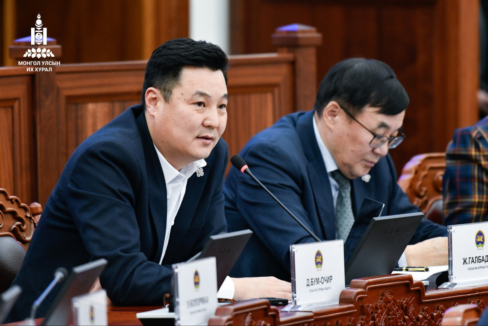 УИХ-н гишүүн Д.Бум-Очир "Цагаан сараар битүүний өдөр амардаг" болох хуулийн төсөл санаачилжээ