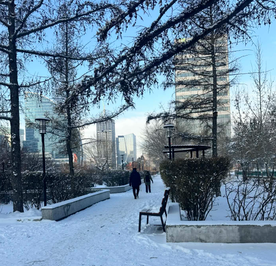 Улаанбаатарт өдөртөө ялимгүй цас орно