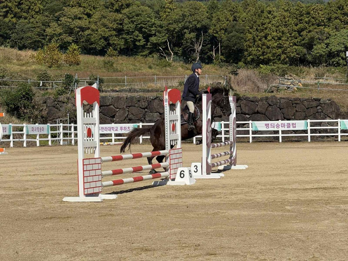 Монголын залуу Жокейчид Морин спортын түүхийн хуудсыг  шинээр эхлүүллээ