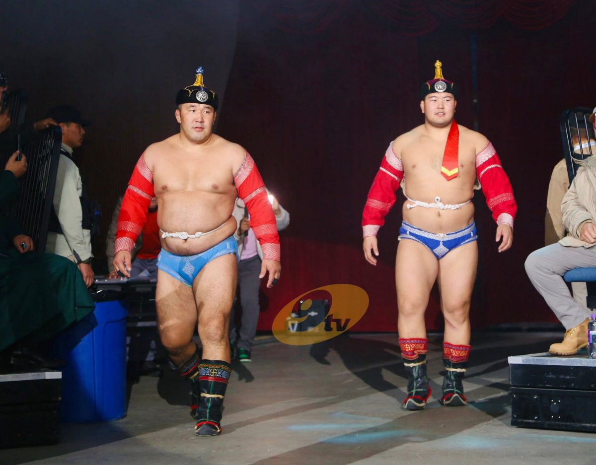 Арваннэгдүгээр сарын бөхийн барилдааны хуваарь