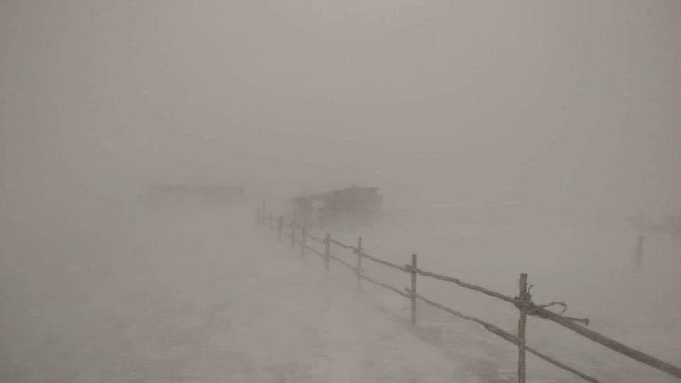 Өнөө шөнө зүүн аймгуудын нутгаар цасан шуурга шуурна