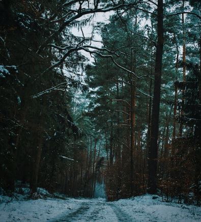  Нийт нутгаар цас орохгүй