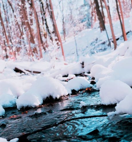 Ойрын өдрүүдэд хүйтний эрч суларна