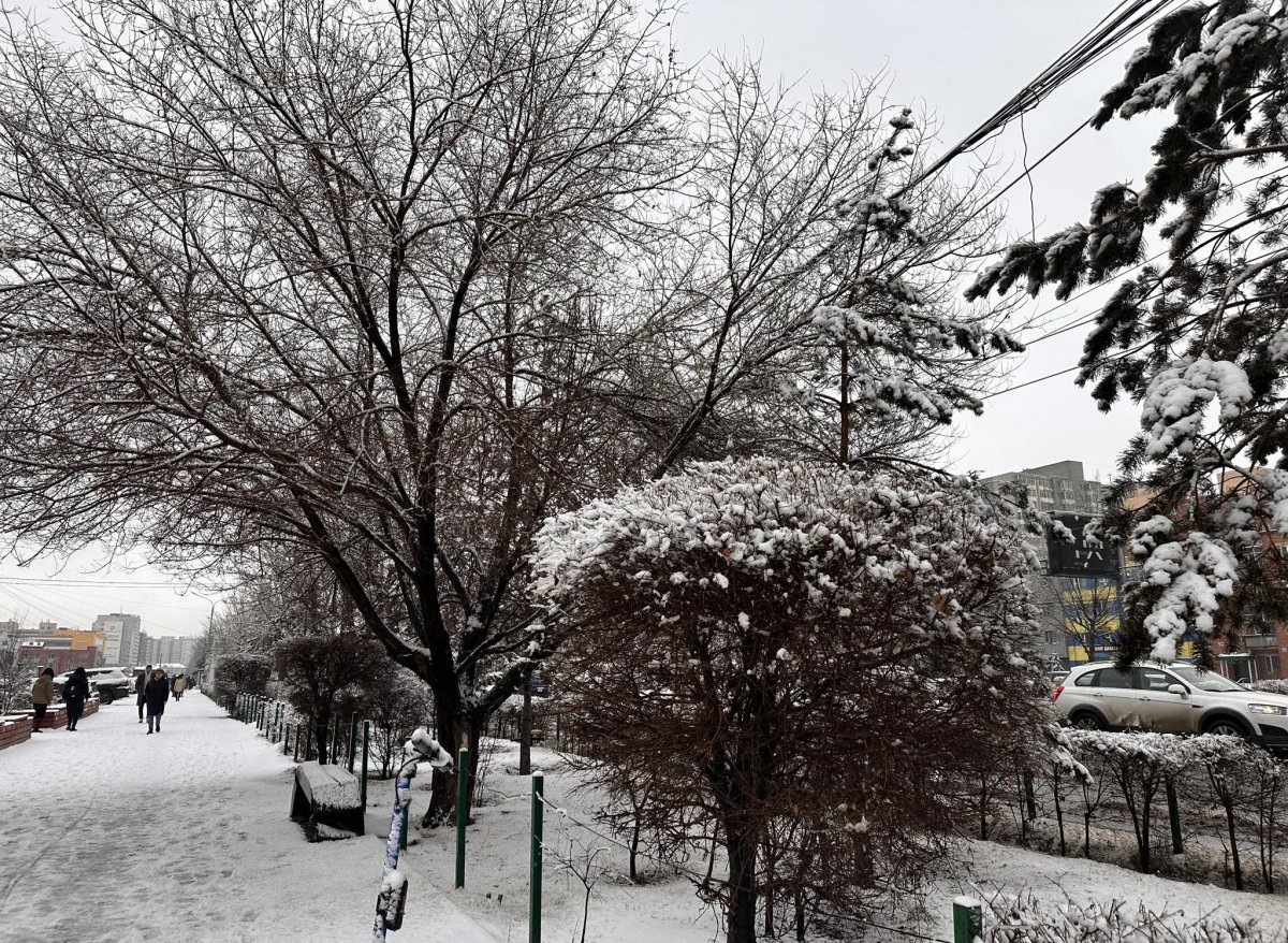 Улаанбаатарт  цас орно