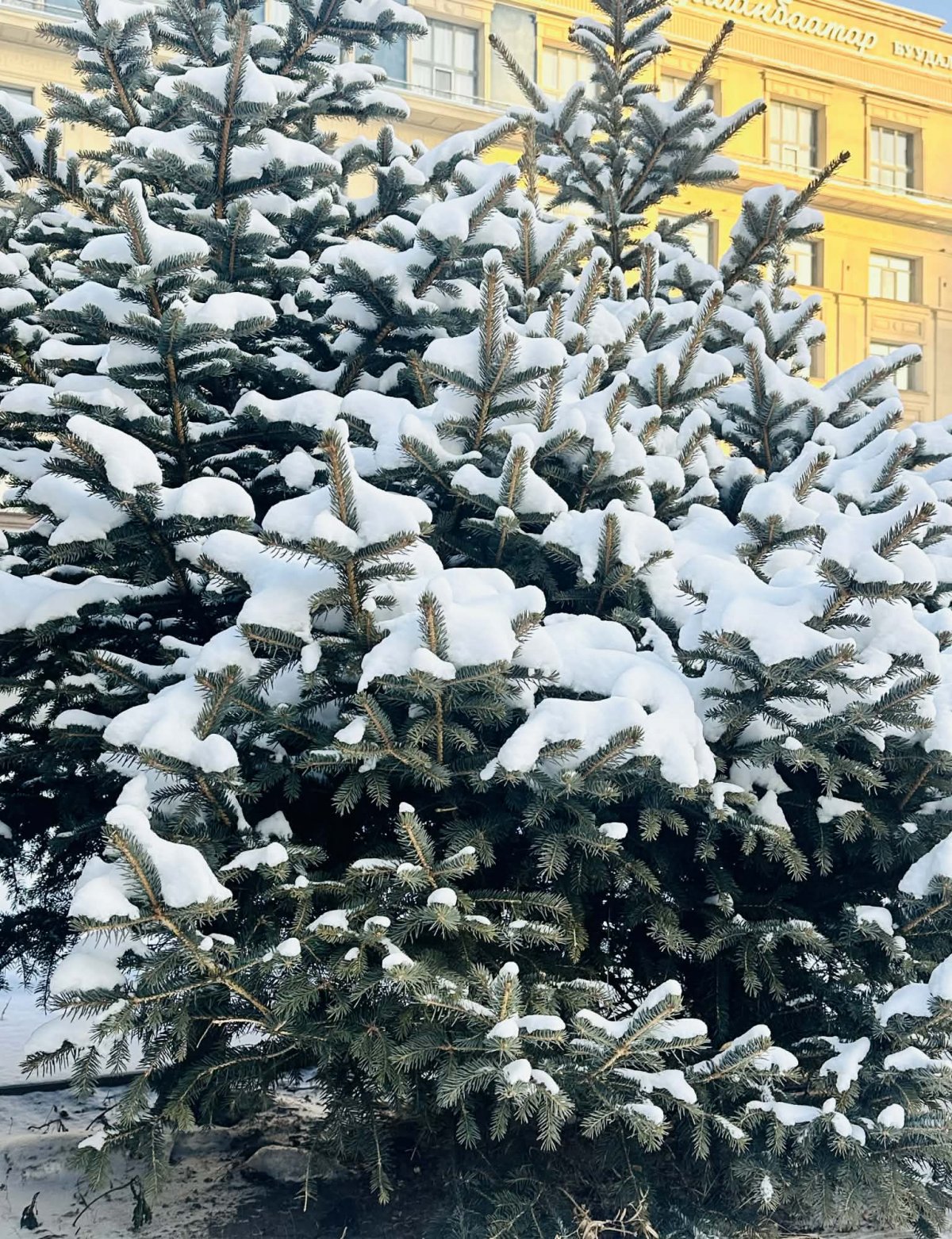 Улаанбаатарт өдөртөө -17 хэм хүйтэн байна