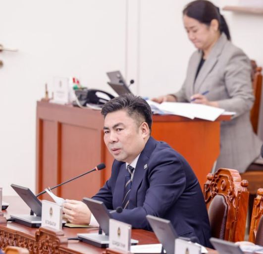 УИХ-ын ТБХ-ны даргаар Н.Наранбаатар томилогдоно